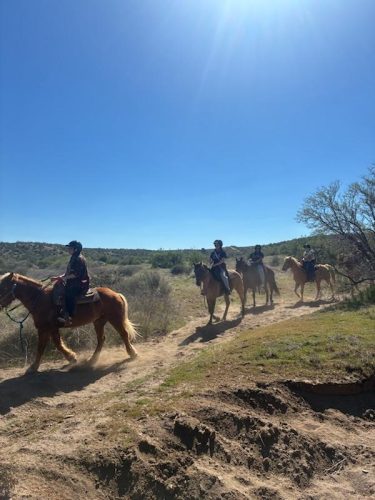 TRAIL RIDE 3_1_26. 3