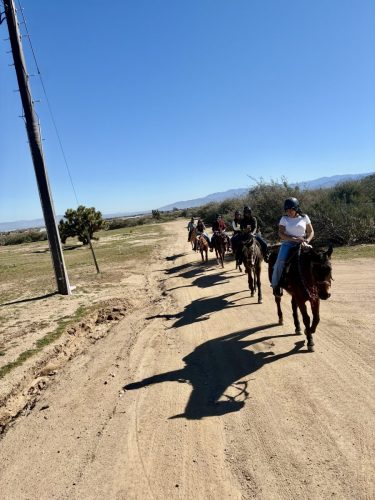 gothorsetrails-trail-ride-1