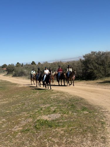 gothorsetrails-trail-ride-3