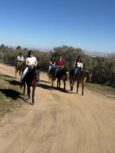 gothorsetrails-trail-ride-4